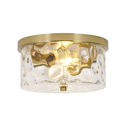 2-Light Flush Mount Ceiling Light with Clear Hammered Glass