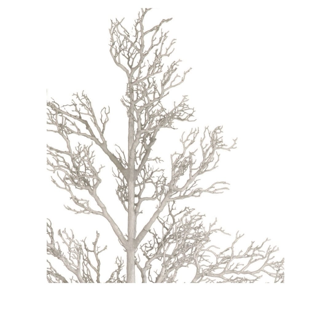 Arbre mort à 96 brindilles