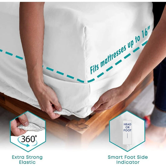 Feather & Stitch 500 Thread-Count Sheets Set