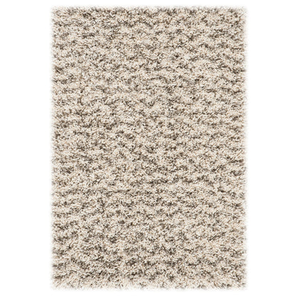 SAFAVIEH Hudson Shag Kirti 2-inch Thick Rug