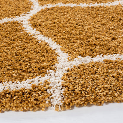 SAFAVIEH Hudson Shag Pushpa Trellis 2-inch Thick Area Rug