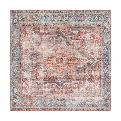 Traditional Distressed Machine Washable Area Rug